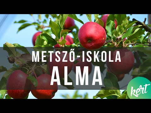 Az alma metszése - Fiskars metsző-iskola/ KertTV