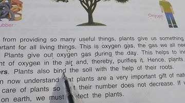 Importance of plants lesson 4 class 3rd Dav course