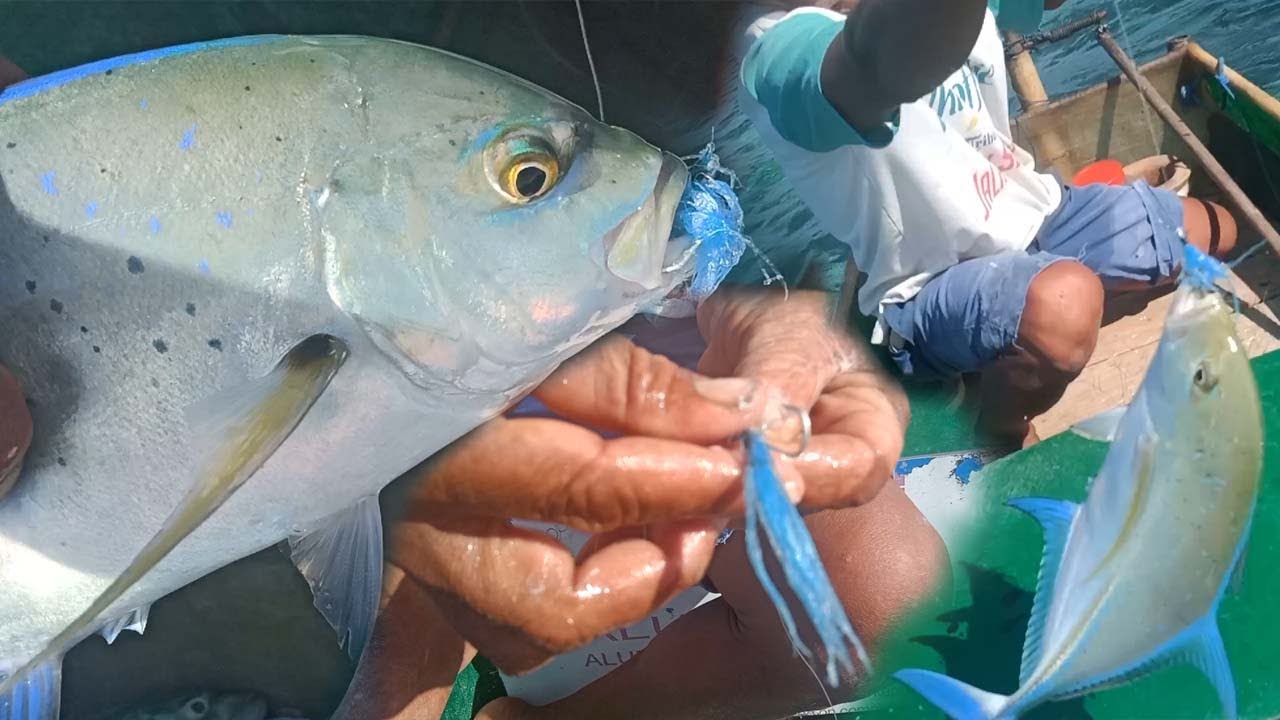 Kejar Ikan Cakalang Malah Dapat Ikan Bubara - Mancing Bubara Umpan Tali Rafia