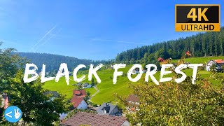 Explore the stunning Black Forest of Germany in 4K!