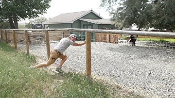 I Regret Installing This Fence Wire (Here’s Why)