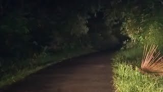 Tilik Rumah Kosong tengah malam keluar hantunya ngejar sampe keperkampungan warga