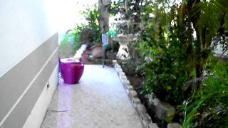 Rachels Brand New Laptop - Oops