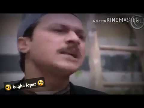مؤثر جدا مع اغنية نور الزين اخوي الزود وحزام الظهر
