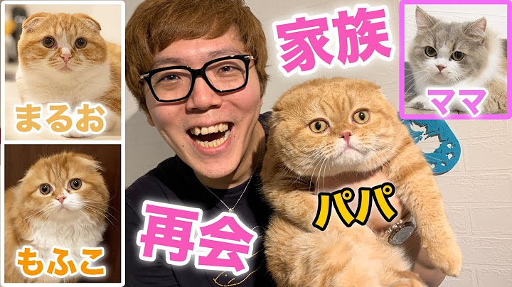 【感動】まるおともふこがパパ&ママと再会！ママ美人、パパが伝説級だったw【家族再会】
