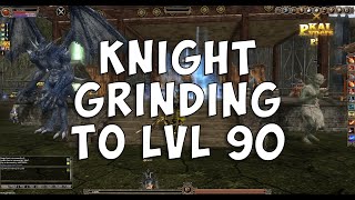 Pvpers KalOnline Private Server #9