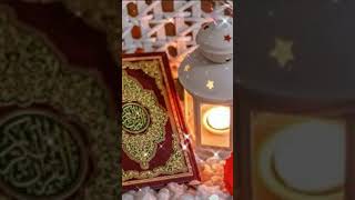 Quran Kareem Urdu Translation 🥀💖 #quran #love #quranrecitation