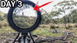 Fallow BUCKS & Red STAGS! 2024 RUT ROAR Trip - Day 3 by Tony Gillahan 3,704 views 11 days ago 6 minutes, 46 seconds