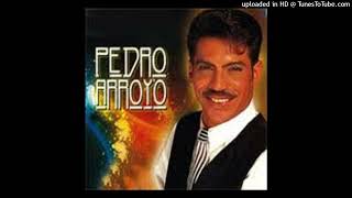 Pedro Arroyo - Todo me huele a ti (karaoke - Versión original)
