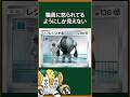 ポケモン ポケカのレジスチルがヤバすぎる ポケモン ポケカのレジスチルがヤバすぎる