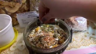 Как приготовить Зерносмесь для Шиншилл -How to cook the grain mixture for Chinchillas!