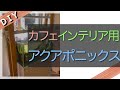 カフェの店内にアクアポニックスを作ってみた