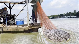 Các loại hình mưu sinh nghề cào dép trên sông Tiền - Sông Nước Cửu Long - Nguyễn Hùng
