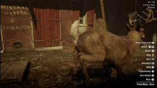 Red Dead Redemption 2 The Exact Deer That Appears In Arthurs Dreams