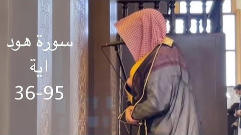 الشيخ ناصر السليم سورة هود اية 95-36