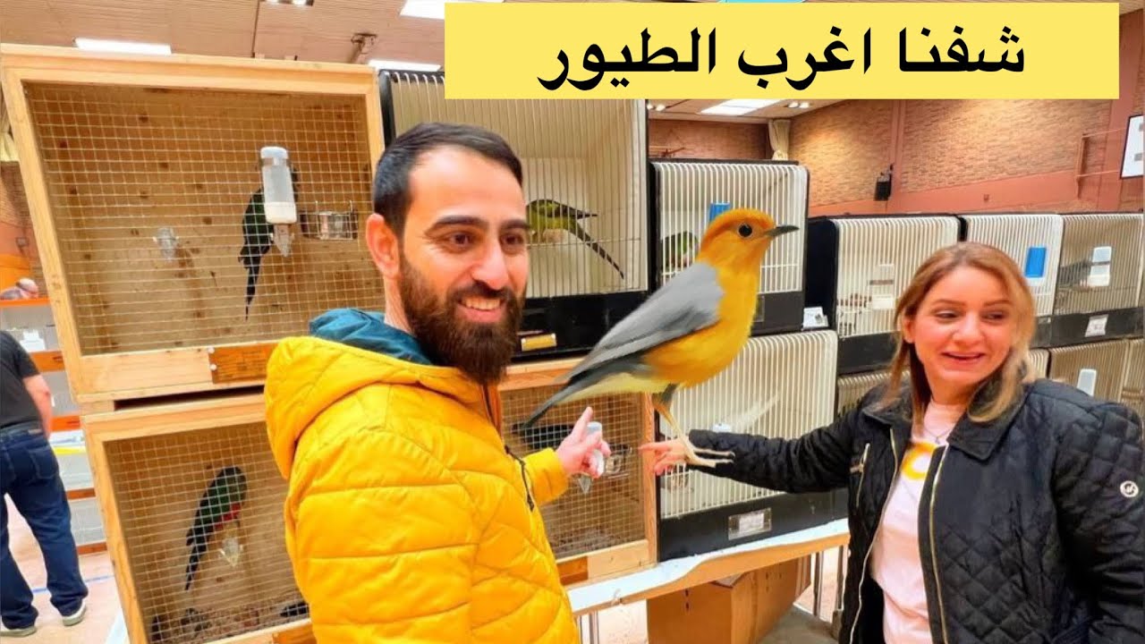 لأول مرة جولة في سوق الطيور في المانيا ، صدمتنا الاسعار🫢