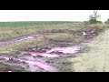 Винуватця досі не встановили: на Рівненщині у полі виявили рожеві калюжі