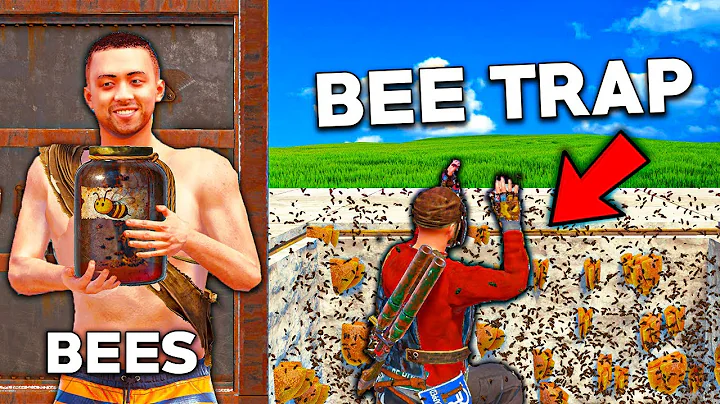 I Made a Bee Trapbase...