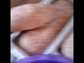 Pão integral