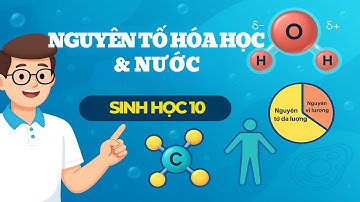 Tóm tắt bài Các nguyên tố hóa học và nước – Sinh học 10 #sinhhoc10