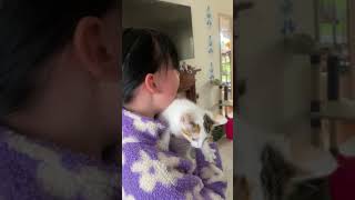 Birthday Girl Gets Emotional Upon Receiving Cat As Surprise Present - 1503405