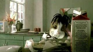 Counting Crows - Accidentally In Love Official Music Video chords