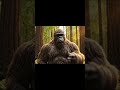 Real Bigfoot Footage? Forest Vlog Encounter