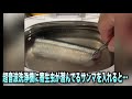 超音波洗浄機にサンマを入れるとどれくらい寄生虫"アニサキス"が出てくるの？　#shorts #ショートな青春