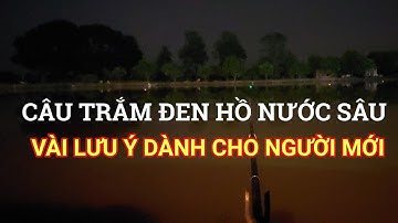 KINH NGHIỆM CÂU TRẮM ĐEN HỒ NƯỚC SÂU DÀNH CHO ANH EM MỚI ĐAM MÊ