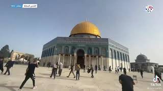 القدس اليوم¦ وين وين الملايين ~حالات واتساب Jerusalem, Palestine today