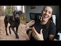 My dog photography dream youtube finally paid me