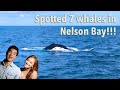 Spotted about 7 whales while on a cruise near Nelson Bay [WATCH IN HD]