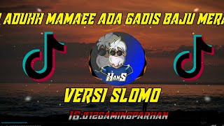 Download lagu DJ ADUH MAMAEE ADA GADIS BAJU MERAH VERSI SLOMO... mp3