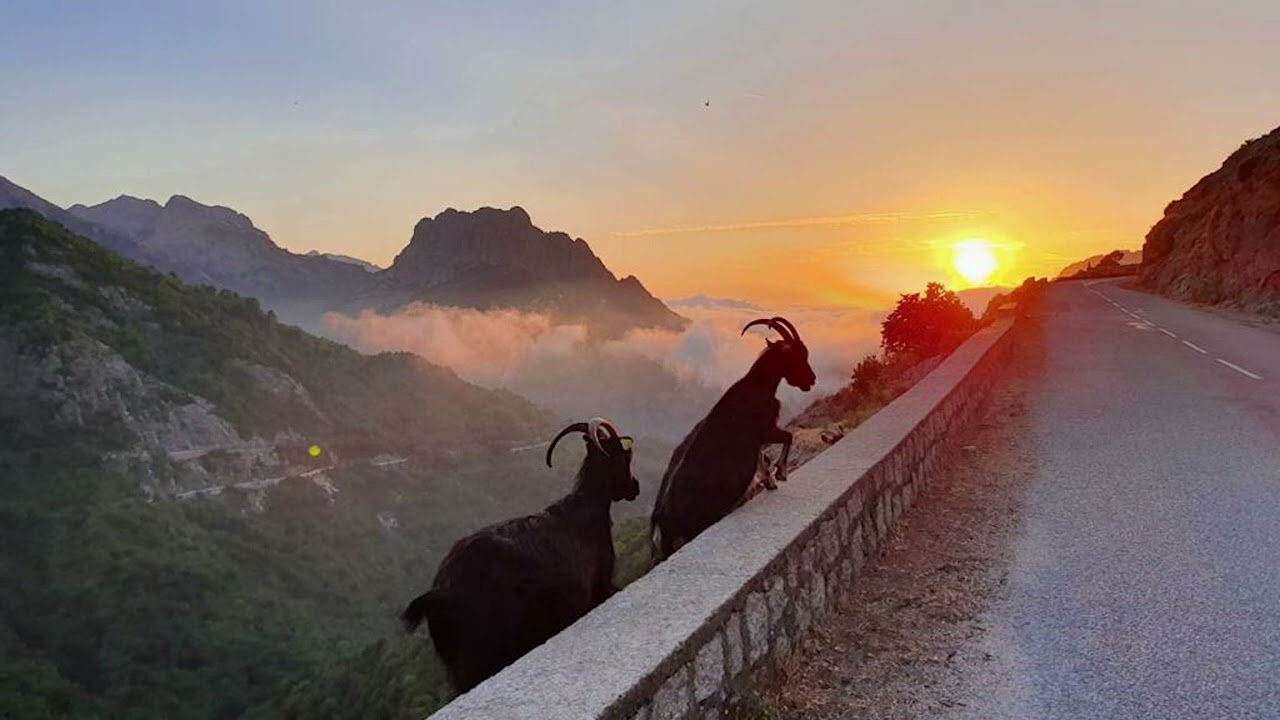 Watch Bert Dockx - Home (audio) on YouTube Watch Bert Dockx - Home (audio) on YouTube