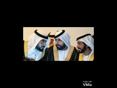 الشيخ زايد بن طحنون ال نهيان