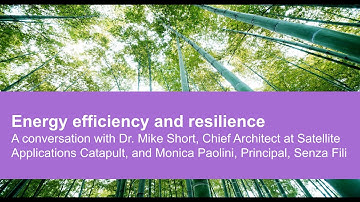 Senza Fili Energy Efficiency in the RAN and beyond: Satellite Catapult