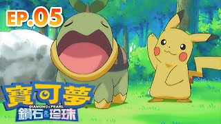 寶可夢 鑽石＆珍珠 | 第5集 收服草苗龜！ | 寶可夢 官方