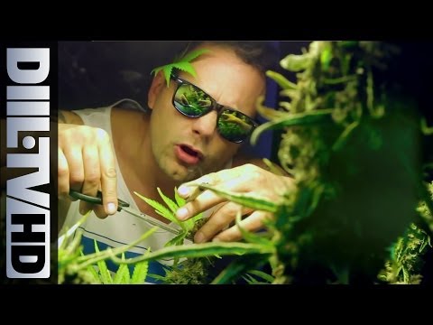 Hemp Gru - Mary Mary feat. Ras Luta, Siostra Mariola [VIDEO] (DIIL.TV HD)