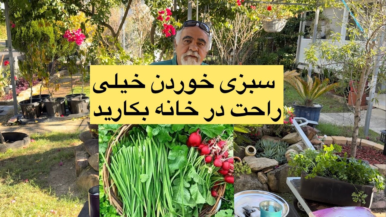سبزی خوردن با کیفیت بالا به روش حرفی در خانه بکارید