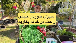 سبزی خوردن با کیفیت بالا به روش حرفی در خانه بکارید