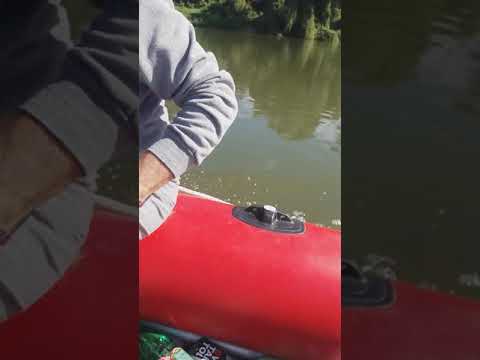Video: Kako Odabrati Gumeni čamac