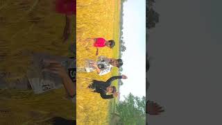 guho ke khet se 🤣🤣 #comedy #shrots #trending #funny #comady #sorts #viral#videos #video