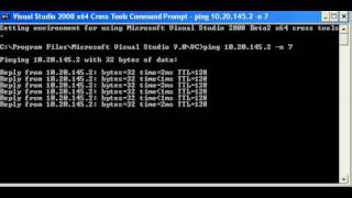 Pinging A Remote Host