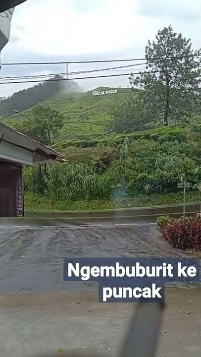 puncak #story #gunung #puncak #storywa