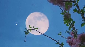 {كُنتُمْ خَيْرَ أُمَّةٍ أُخْرِجَتْ لِلنَّاسِ} || نايف الفيصل || تلاوة جميلة و مؤثرة🥀✨|| ارح قلبك💞