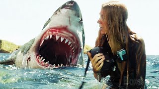 SHARK Ke Beech SAMUNDAR Mein Phans GAYI Ye LADKI | The Shallows Movie Explained In Hindi