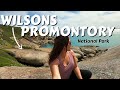 DAY TRIP en WILSONS PROMONTORY en AUSTRALIA| este PARQUE NACIONAL es increíble