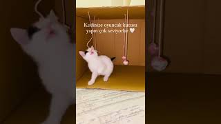 0 Masrafla sınırsız oyuncak 🤍🎀 instagram ailemiz: pofiyleblog sen de katıl