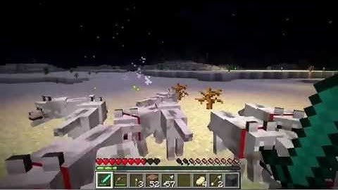 Hunting with dogs on minecraft fail