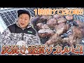 春だし壺漬けカルビで優勝したよ‼︎